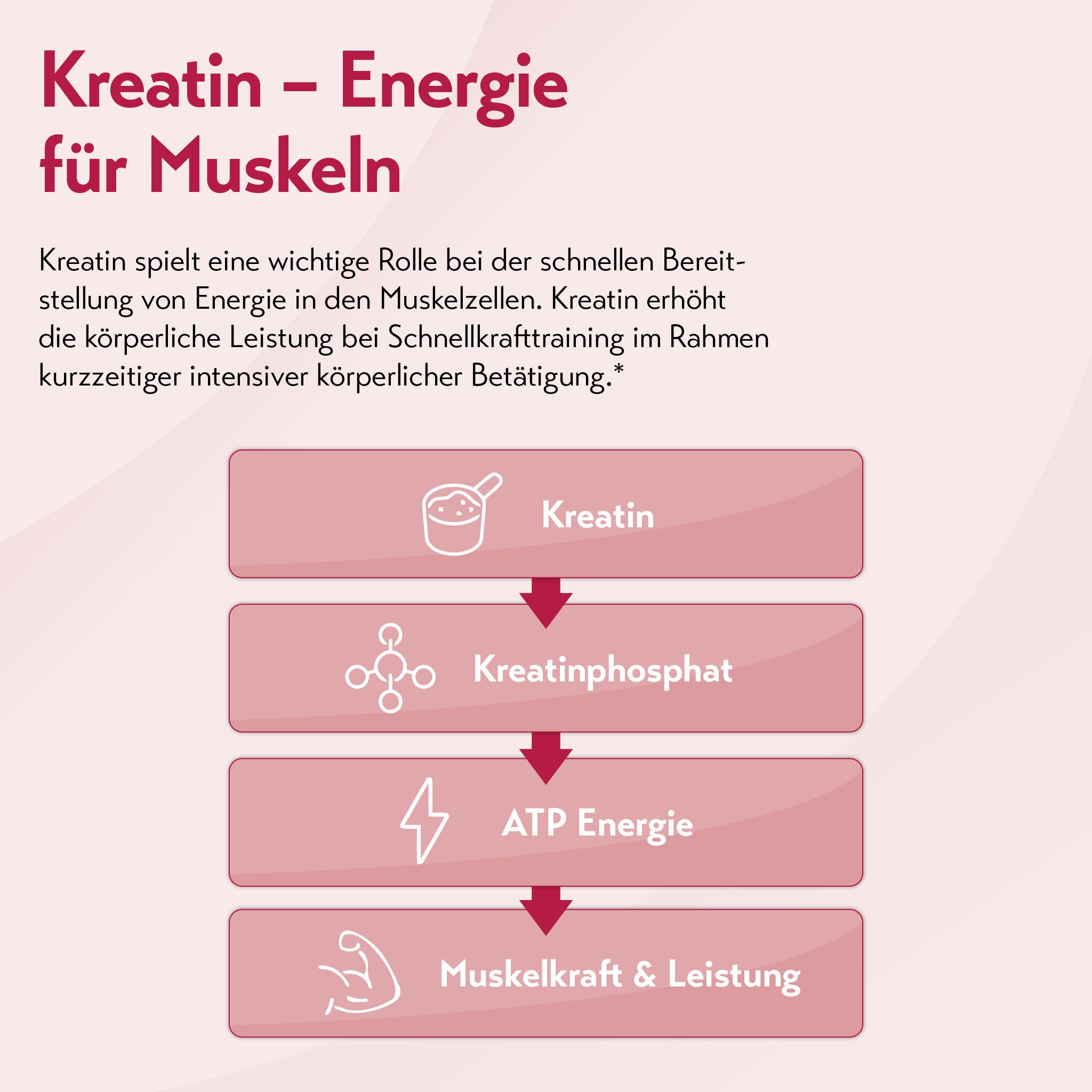 pureSGP KREATIN