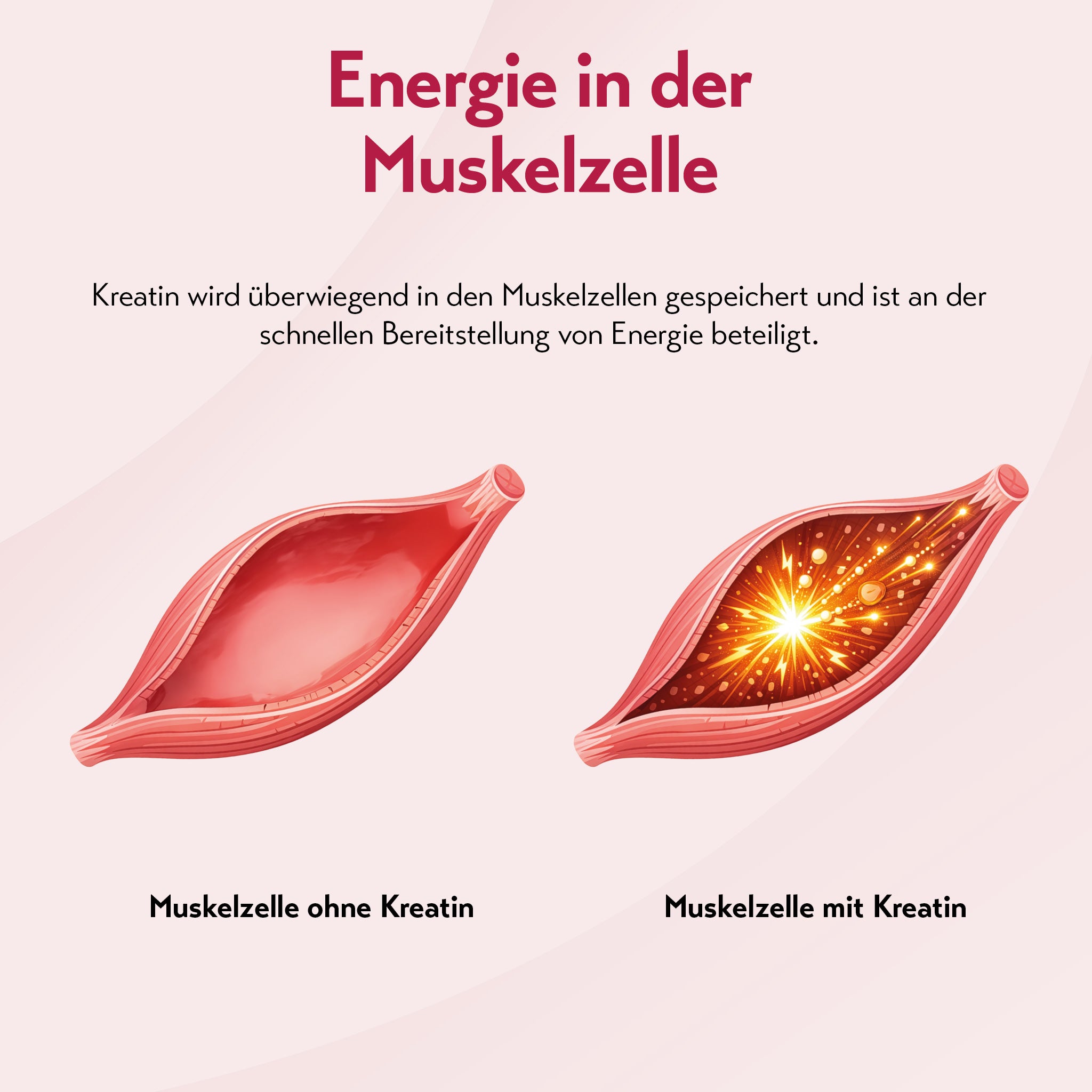 pureSGP KREATIN