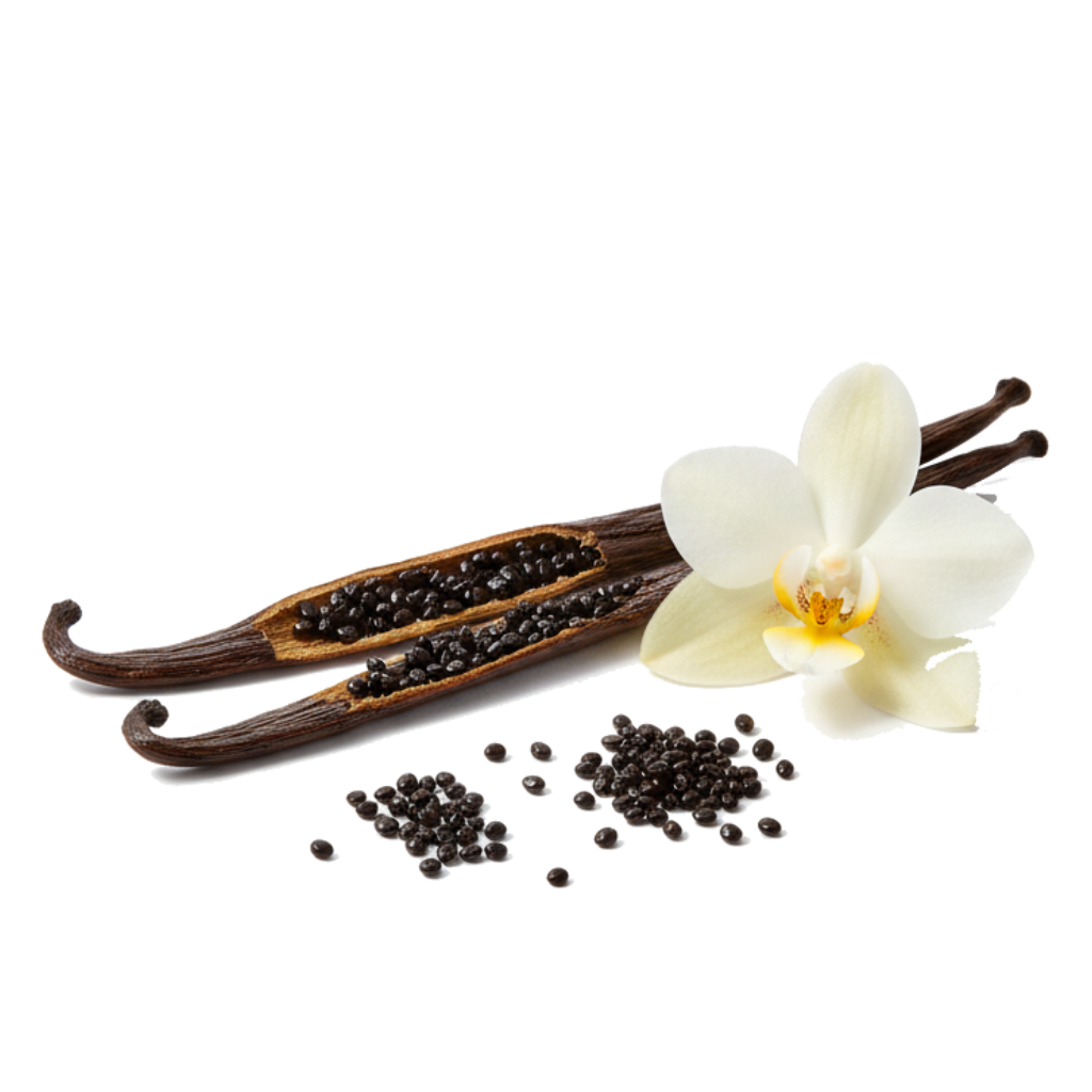 Vanilleschoten mit Vanilleblüte als Geschmacksbild für den pureSGP Stoffwechsel-Shake Vanille