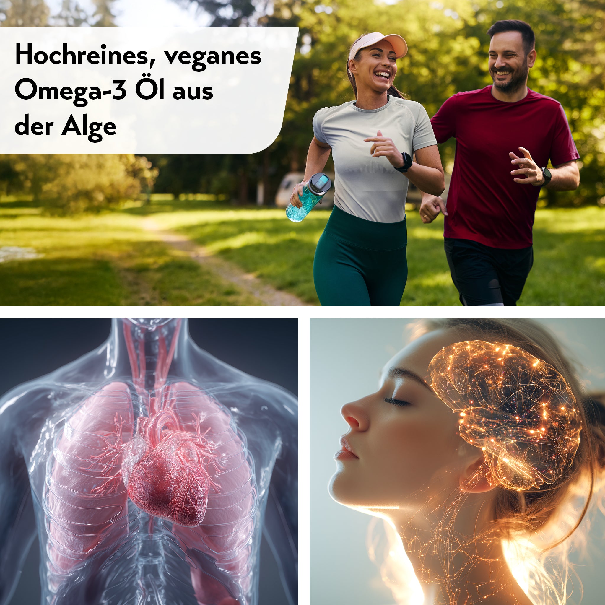 Collage mit Schriftzug ‚Hochreines, veganes Omega-3 Öl aus der Alge‘, einem joggenden Paar im Park, einer Illustration von Herz und Lunge sowie einer Frau mit visualisiertem Gehirnnetzwerk.