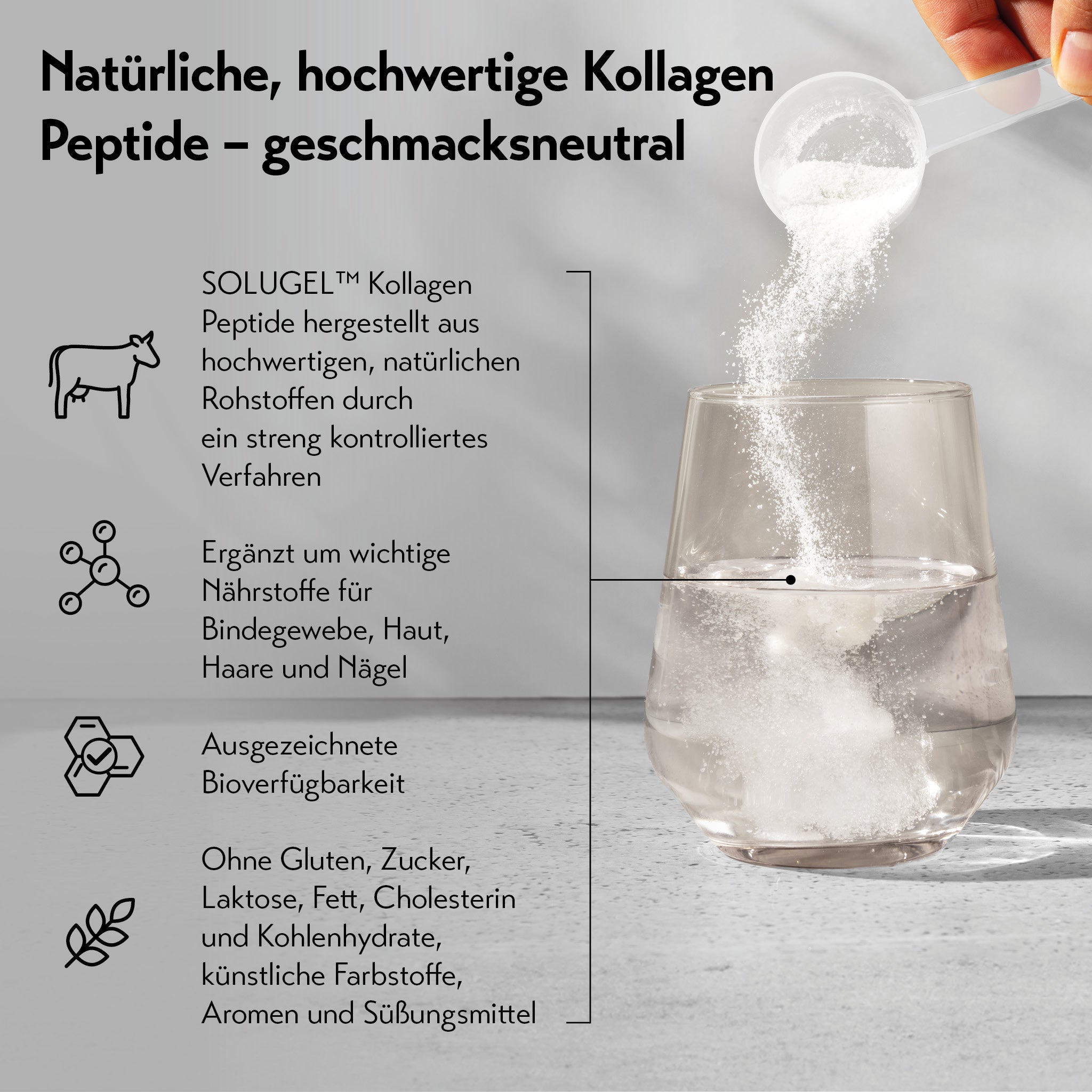 Hand schüttet Kollagenpulver aus einem Messlöffel in ein Glas Wasser. Links Infos zur Qualität, Zusammensetzung und Verträglichkeit des Produkts mit Icons zu Rind, Molekülstruktur, Bioverfügbarkeit und natürlichen Inhaltsstoffen.