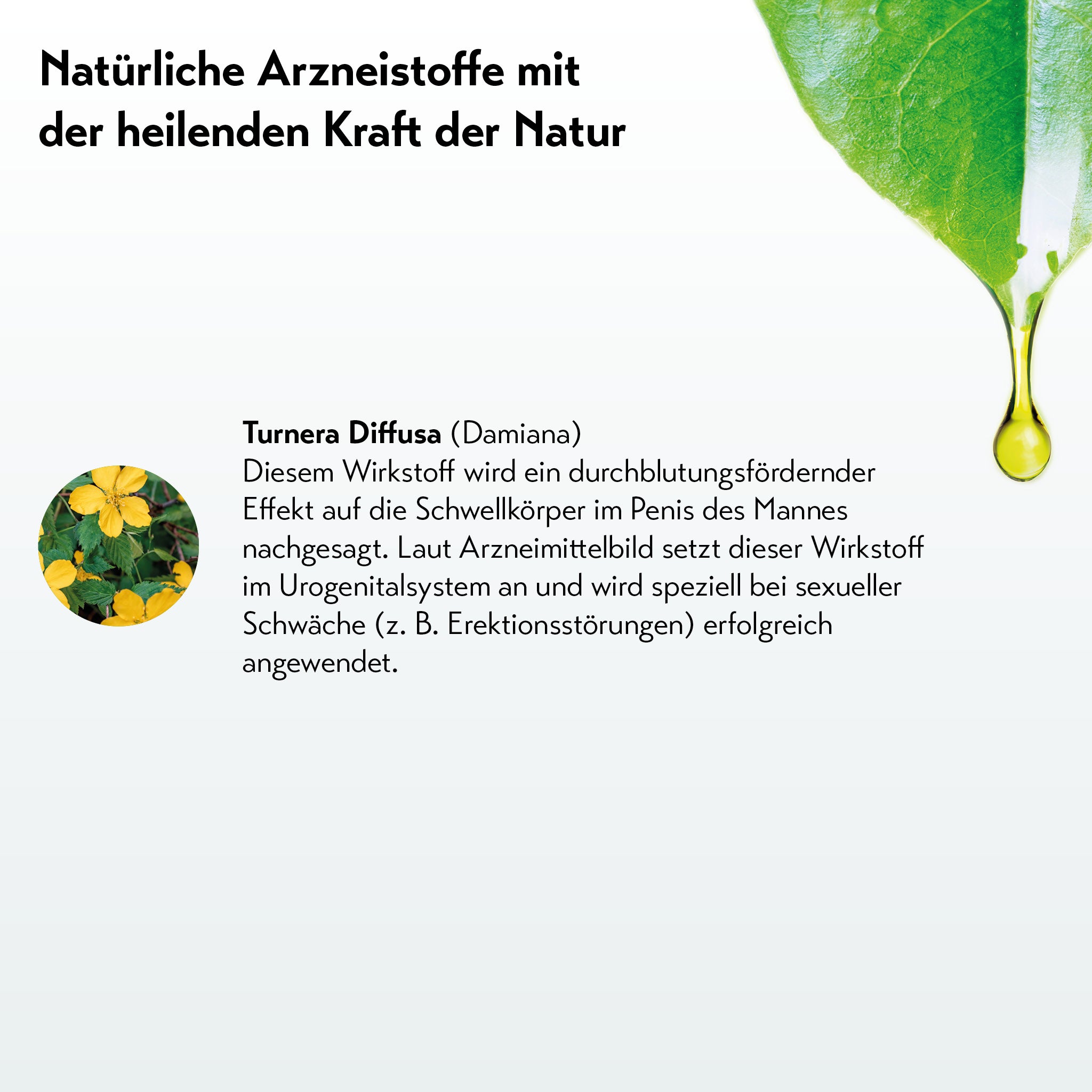 NERADIN TABLETTEN