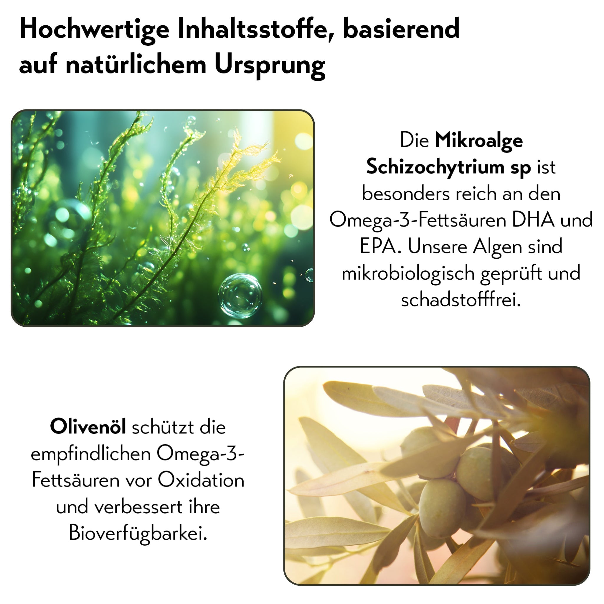 pureSGP OMEGA-3 ÖL